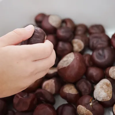 Copii la grădinița Model din Târgoviște