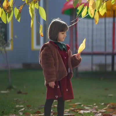 Activități educative pentru preșcolari la Grădinița Model