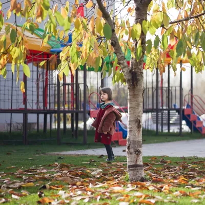 Activități educative pentru preșcolari la Grădinița Model