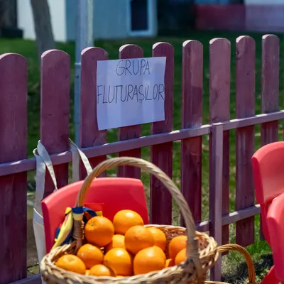 Activități la Grădinița Model Târgoviște