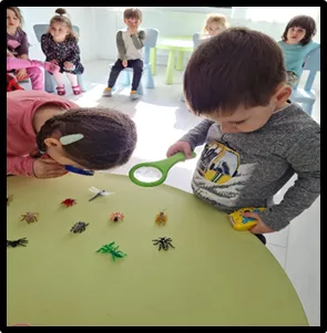 Observăm și ne jucăm - imagine 2