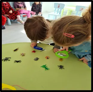 Observăm și ne jucăm - imagine 3