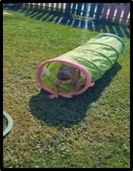 Urmează traseul - imagine 1