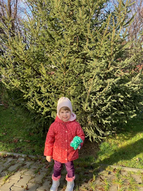 Confecționare sorcove - Grupa mică - 3